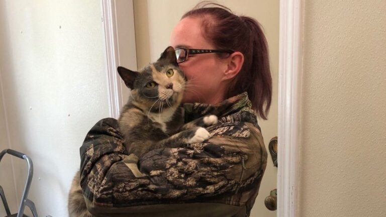 A Long-Awaited Reunion