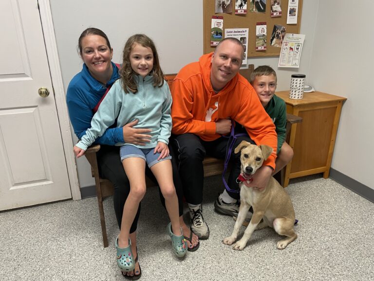 Weekly Adoptions 10-9-23