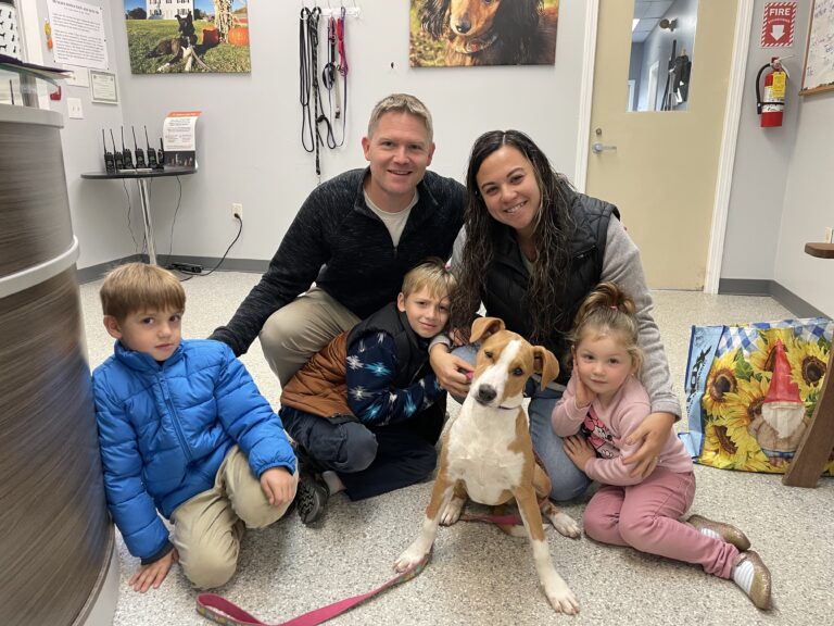Weekly Adoptions 10-23-23