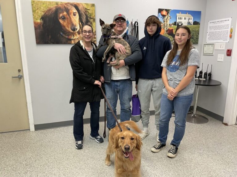 Weekly Adoptions 11-13-23