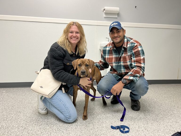 Weekly Adoptions 11-20-23