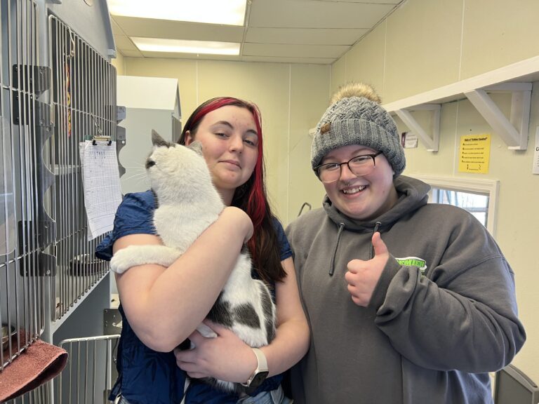 Weekly Adoptions 12-4-23