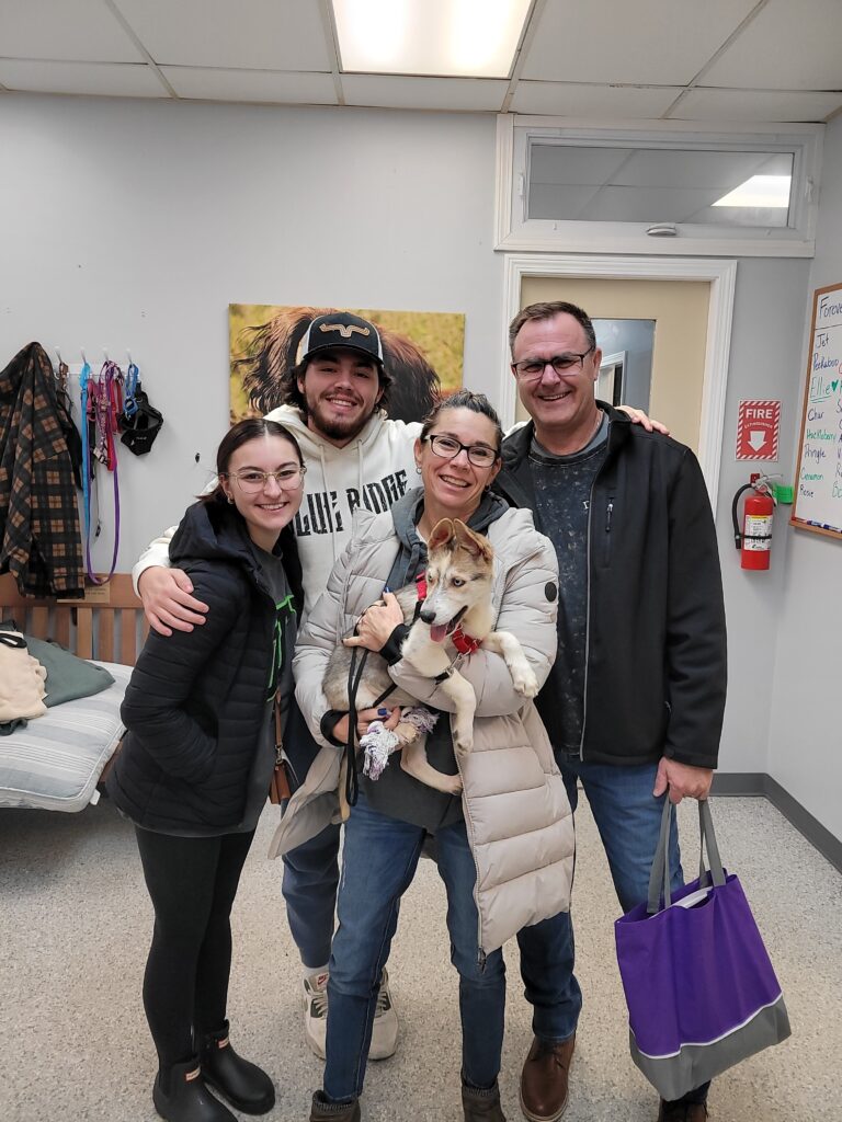 Weekly Adoptions 12-25-23