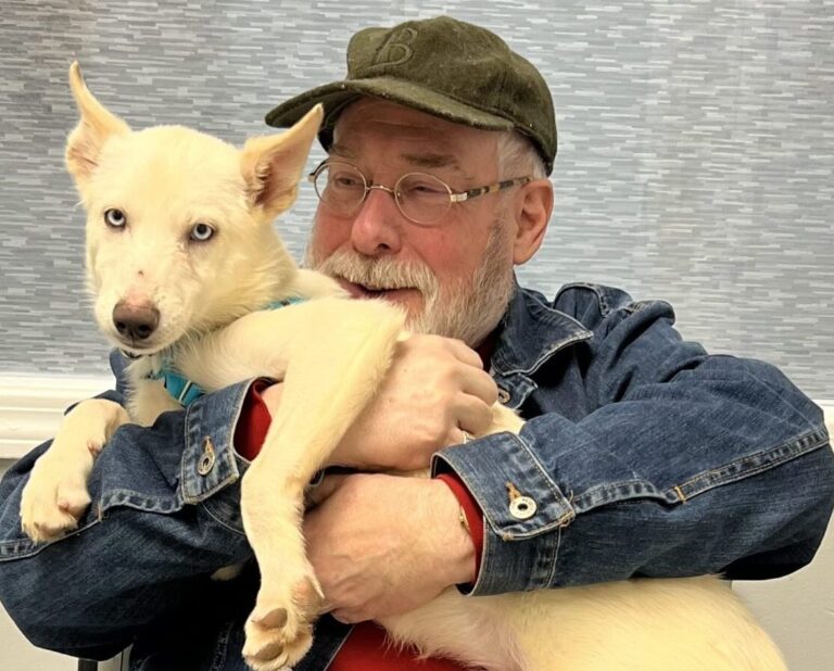 Weekly Adoptions 1-1-24