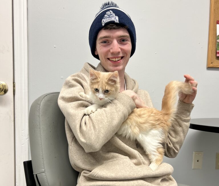 Weekly Adoptions 2-5-24