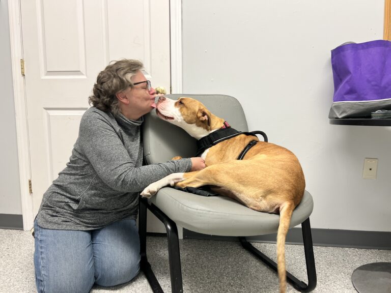 Weekly Adoptions 2-12-24