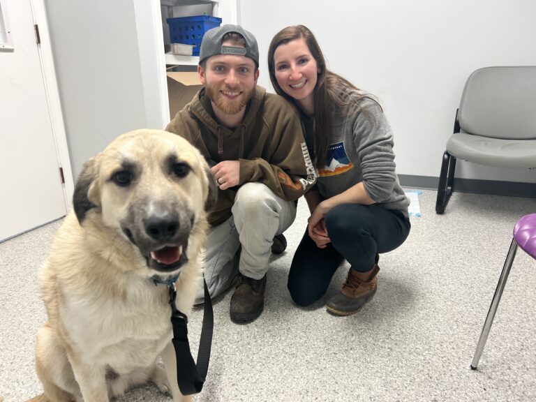 Weekly Adoptions 3-11-24