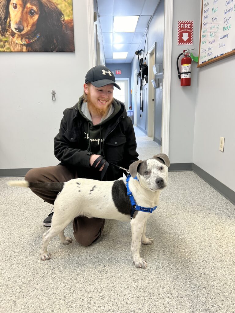 Weekly Adoptions 3-18-24