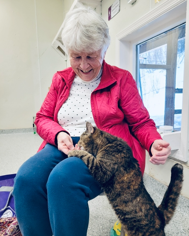 Weekly Adoptions 2-26-24