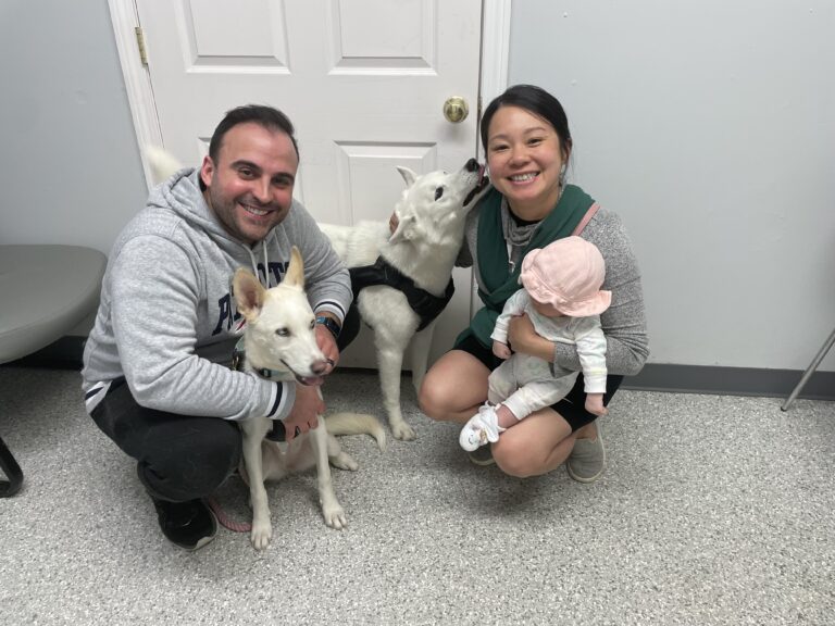 Weekly Adoptions 4-22-24