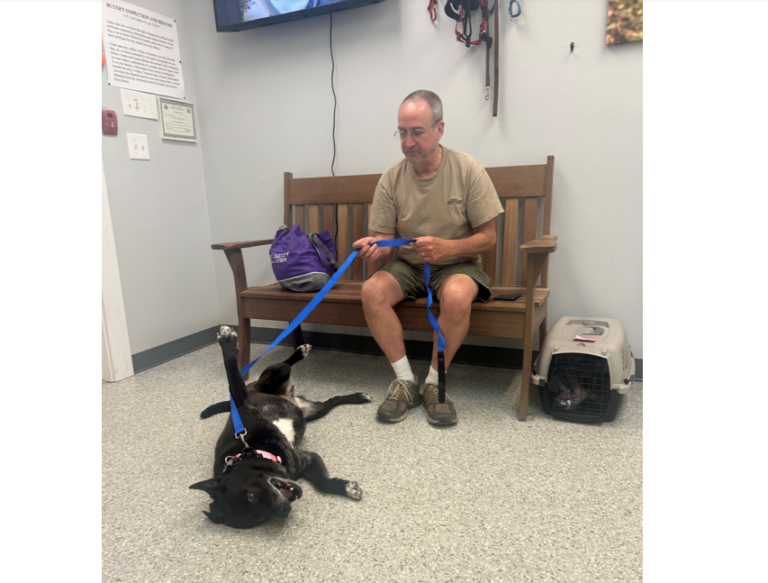 Weekly Adoptions 6-3-24