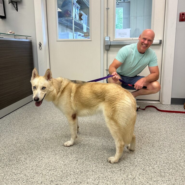 Weekly Adoptions 7-1-24