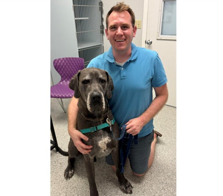 Weekly Adoptions 7-8-24
