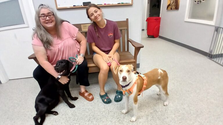 Weekly Adoptions 7-22-24